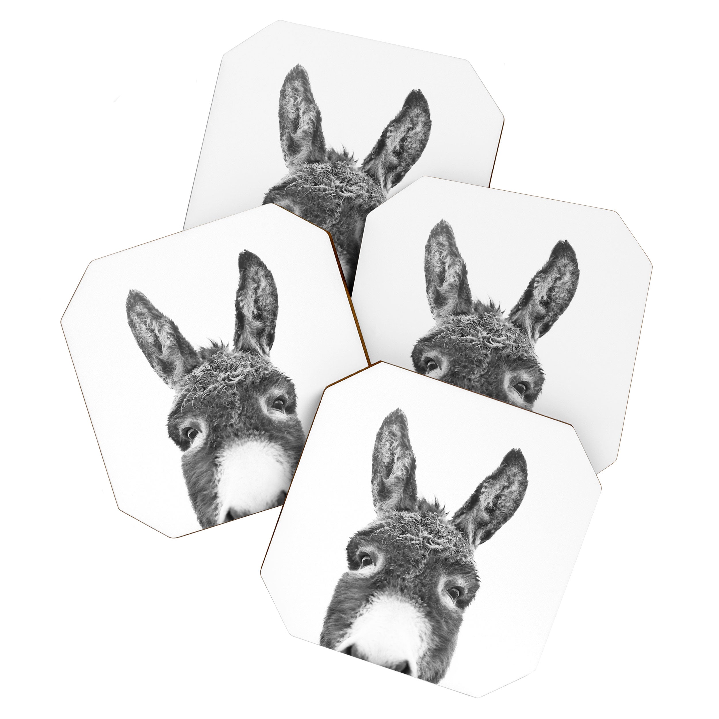Hey Donkey BW Coaster Gallery Image 1
