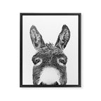 Hey Donkey BW Framed Canvas Print Gallery Image 6