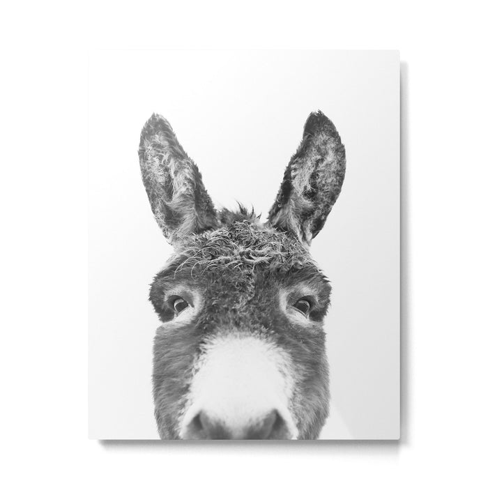 Hey Donkey BW Metal Print Gallery Image 1