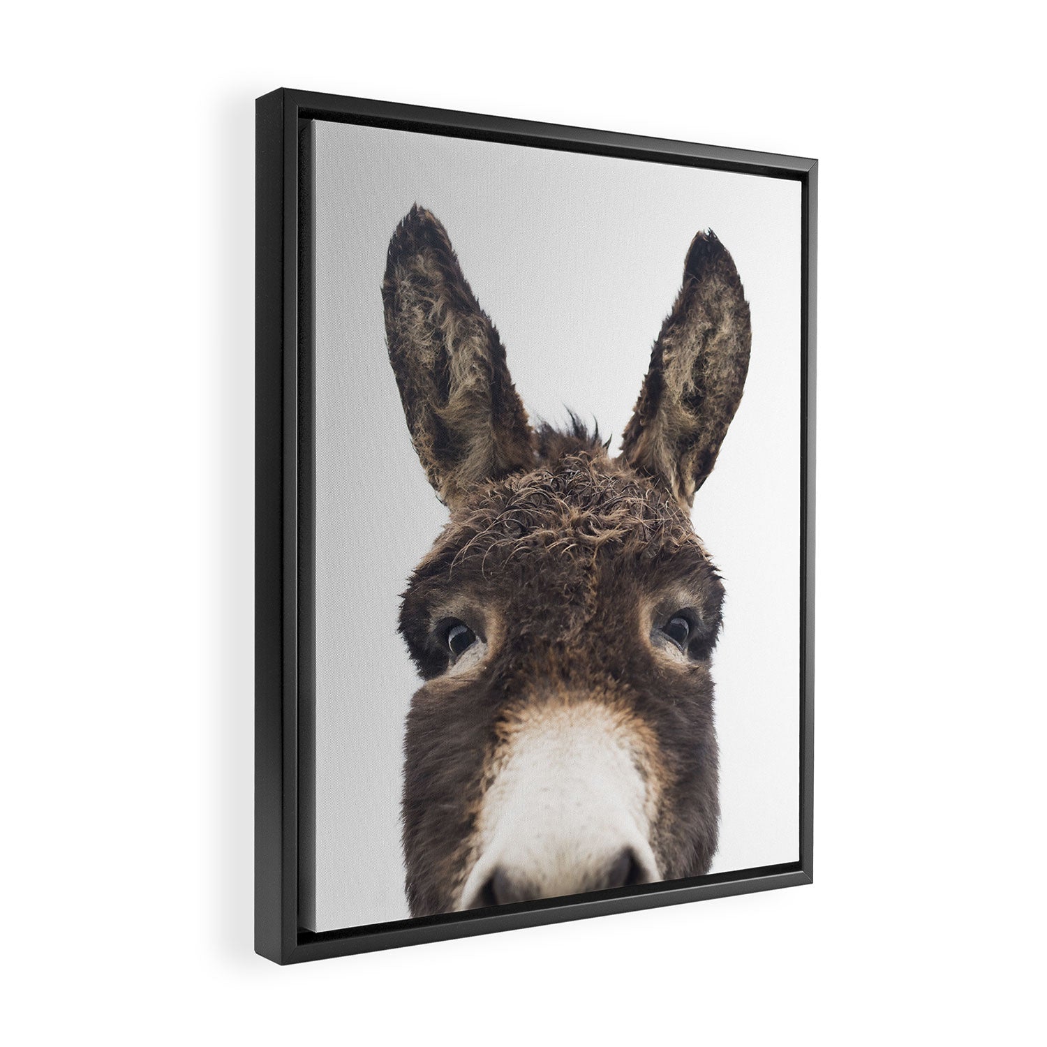 Hey Donkey Framed Canvas Print Gallery Image 2