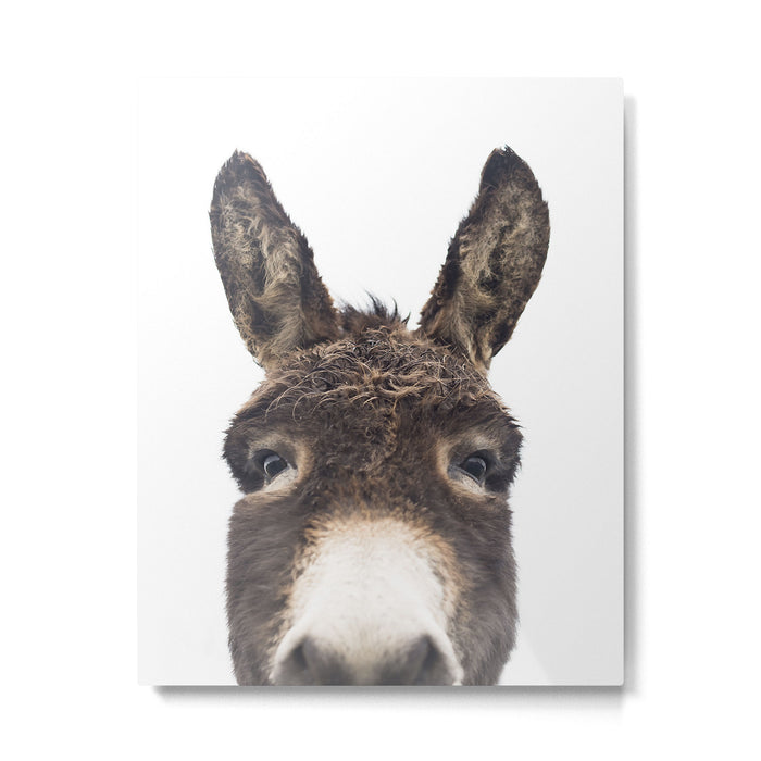 Hey Donkey Metal Print Gallery Image 1