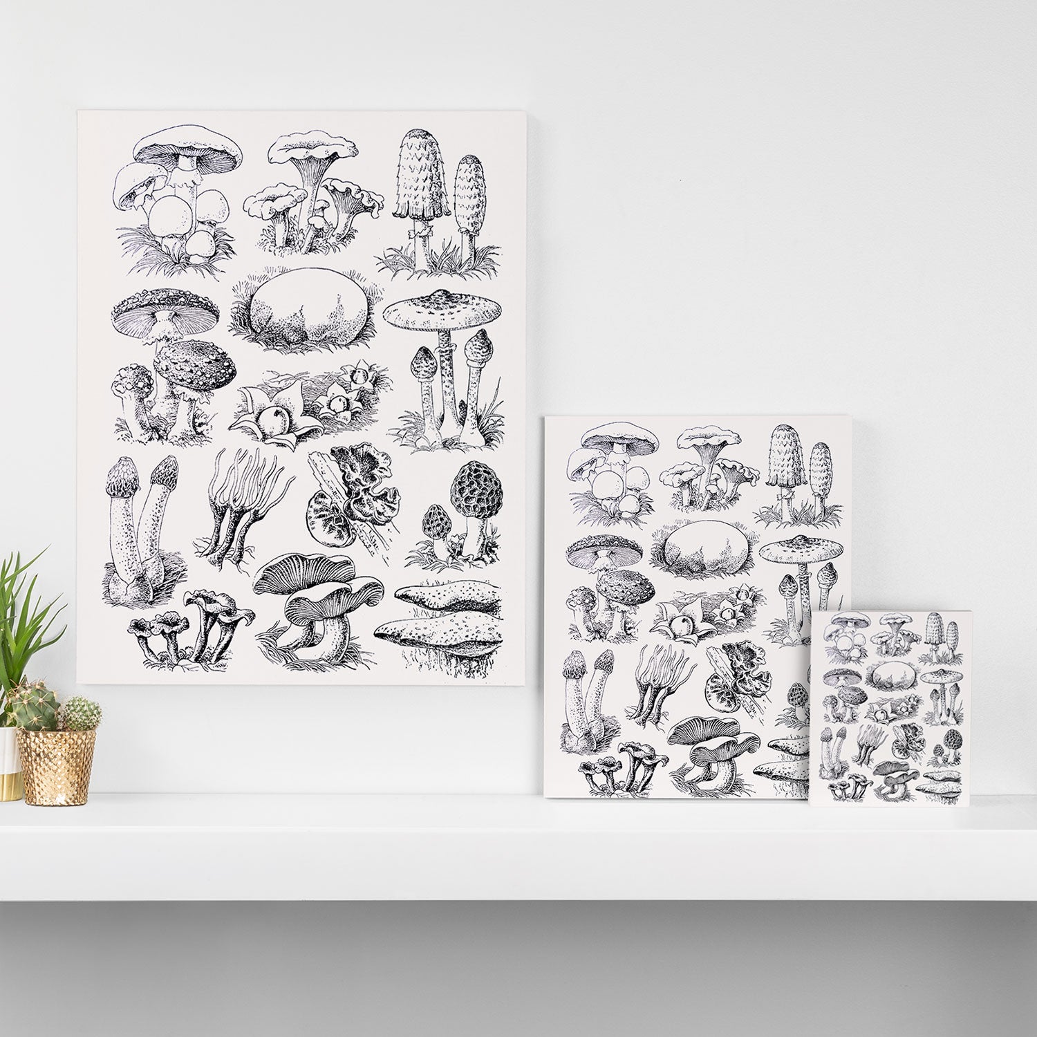 Mushroom Collection Canvas Print Gallery Image 3