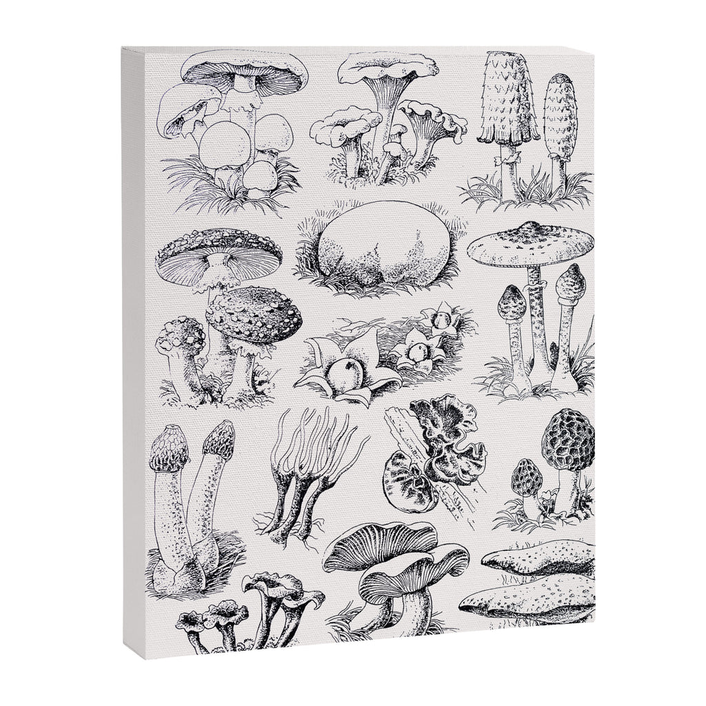 Mushroom Collection Canvas Print Gallery Image 6