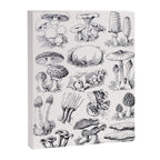 Mushroom Collection Canvas Print Gallery Image 6