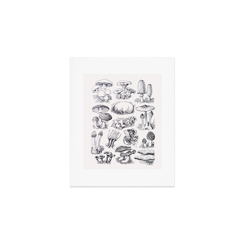 Mushroom Collection Art Print Gallery Image 1