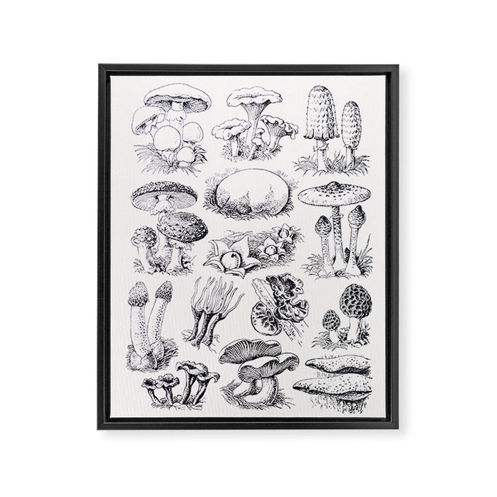 Mushroom Collection Framed Canvas Print Gallery Image 1