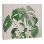 My monstera Canvas Print Gallery Image 6