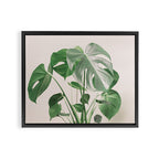 My monstera Framed Canvas Print Gallery Image 6