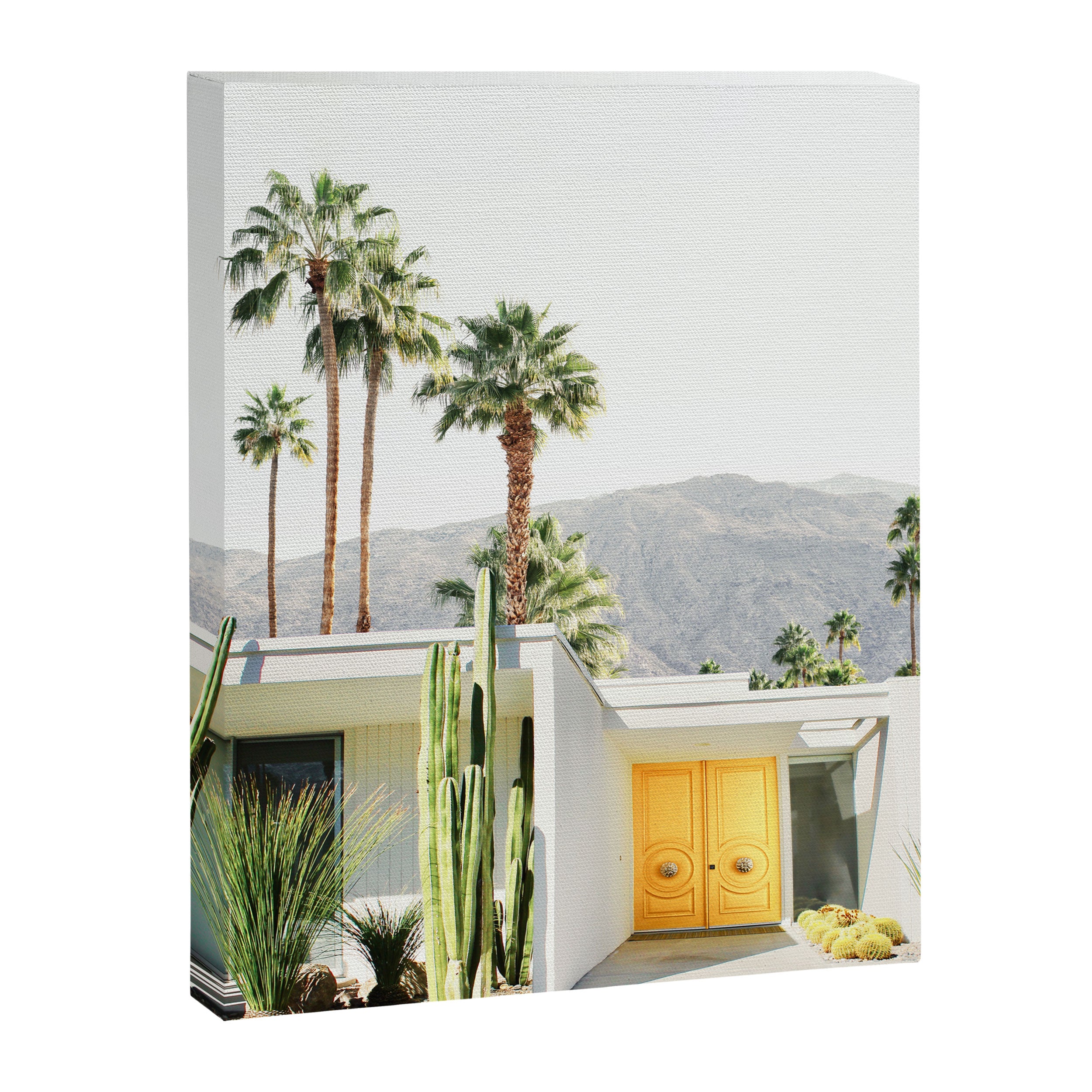 Palm Springs II Canvas Print Gallery Image 6