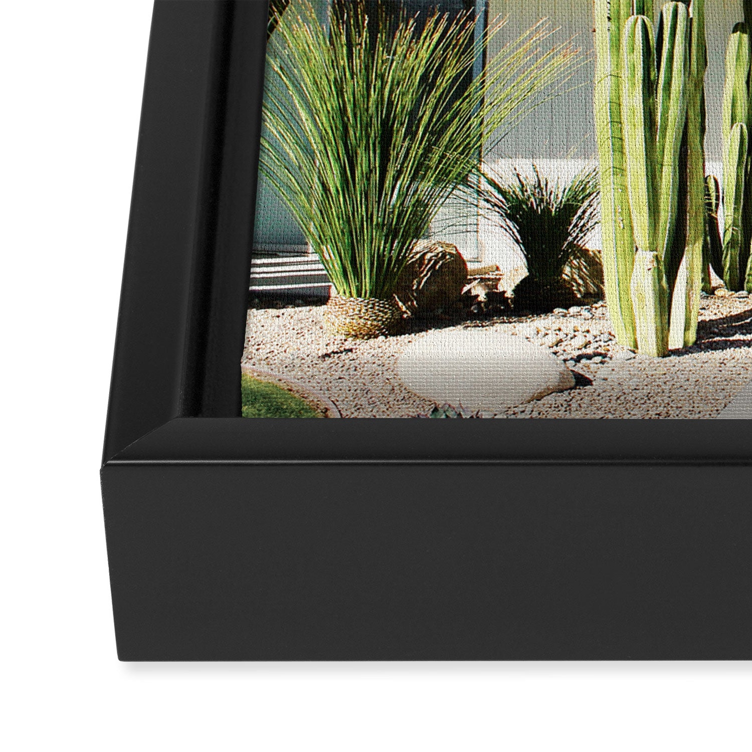 Palm Springs II Framed Canvas Print Gallery Image 3