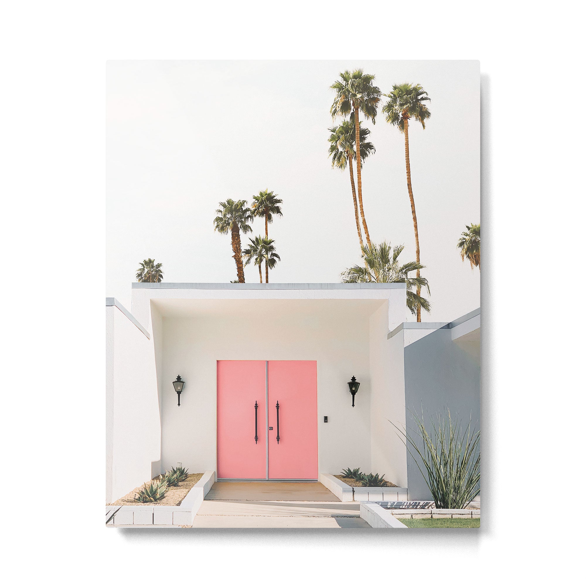 Palm Springs III Metal Print Gallery Image 4