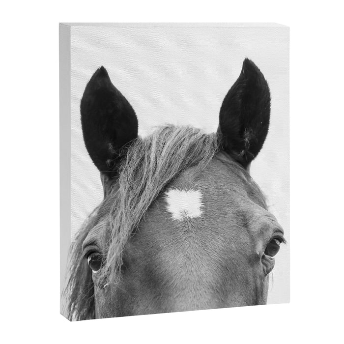 Peeking Horse Canvas Print Gallery Image 1