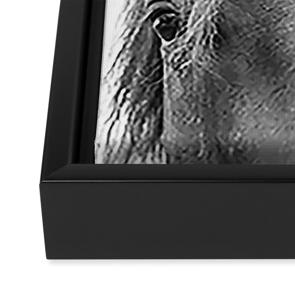 Peeking Horse Framed Canvas Print Gallery Image 3