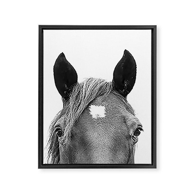 Peeking Horse Framed Canvas Print Gallery Image 6