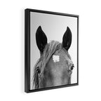 Peeking Horse Framed Canvas Print Gallery Image 2