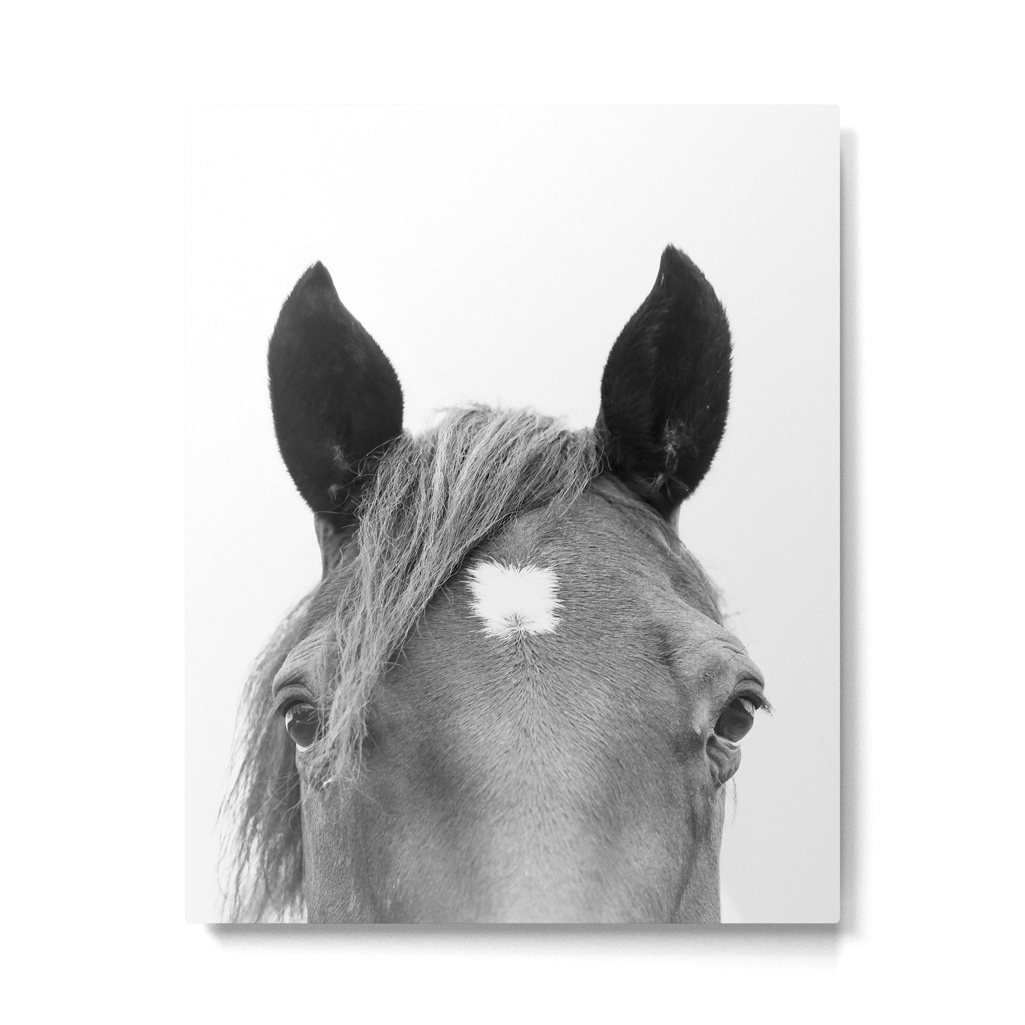 Peeking Horse Metal Print Gallery Image 4