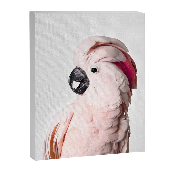 Pink Cockatoo Canvas Print Gallery Image 1
