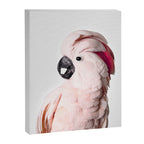 Pink Cockatoo Canvas Print Gallery Image 6