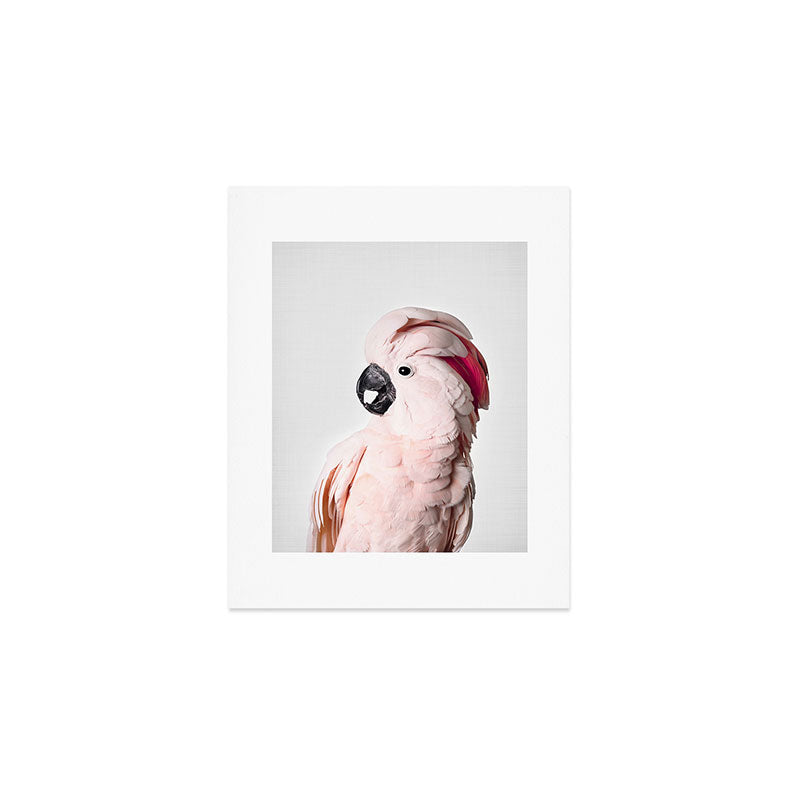 Pink Cockatoo Art Print Gallery Image 1