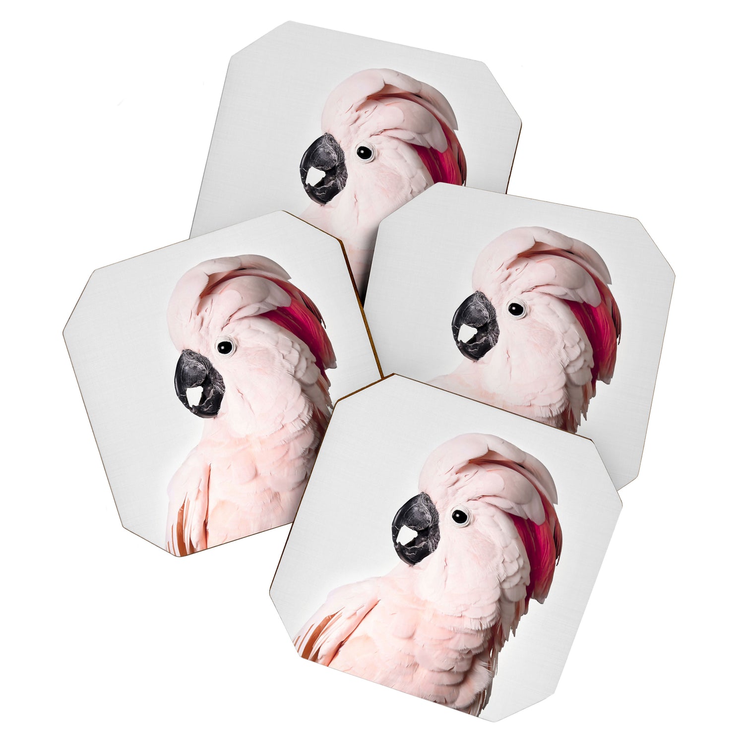 Pink Cockatoo Coaster Gallery Image 1