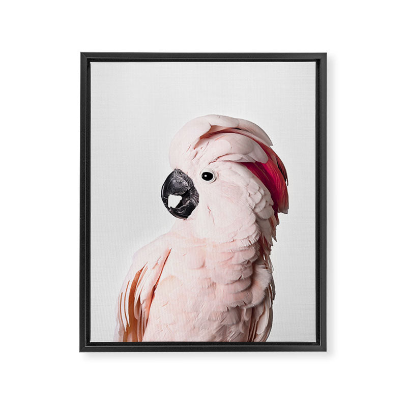 Pink Cockatoo Framed Canvas Print Gallery Image 6