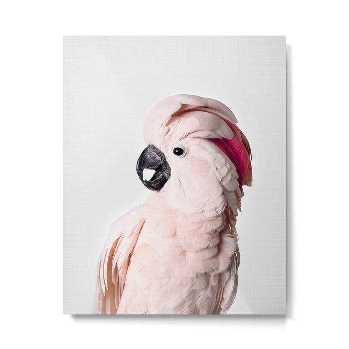 Pink Cockatoo Metal Print Gallery Image 1