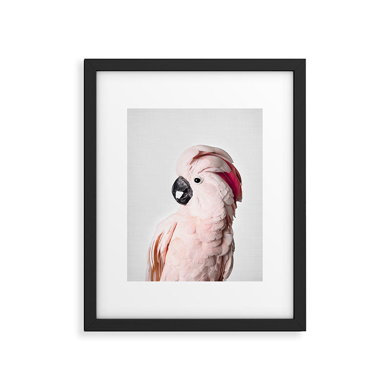 Pink Cockatoo Framed Art Print Gallery Image 5