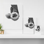Sloth Canvas Print Gallery Image 3