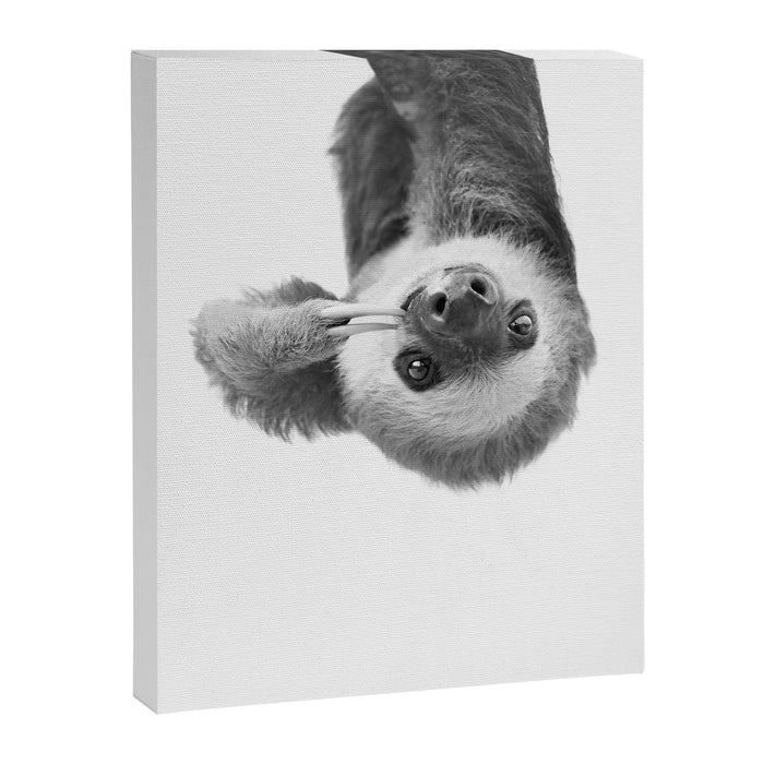 Sloth Canvas Print Gallery Image 1