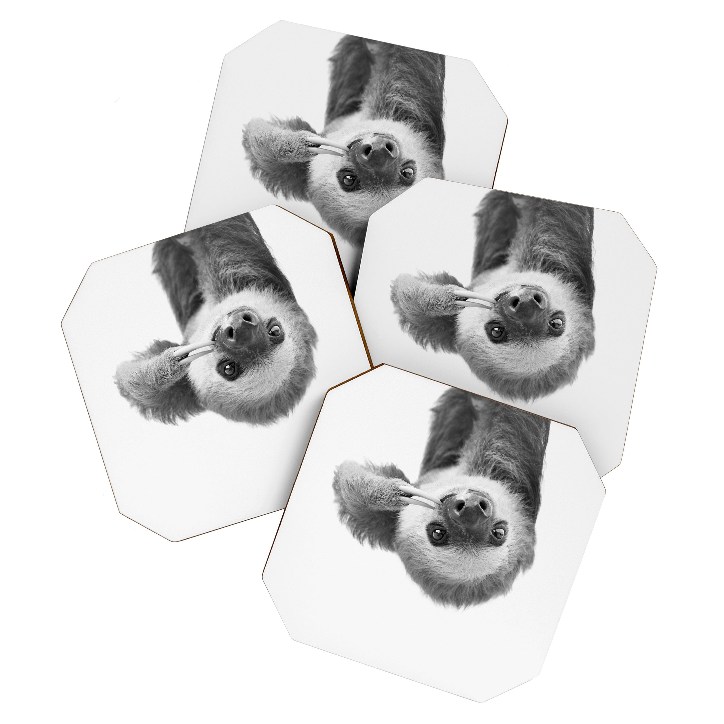 Sloth Coaster Gallery Image 1