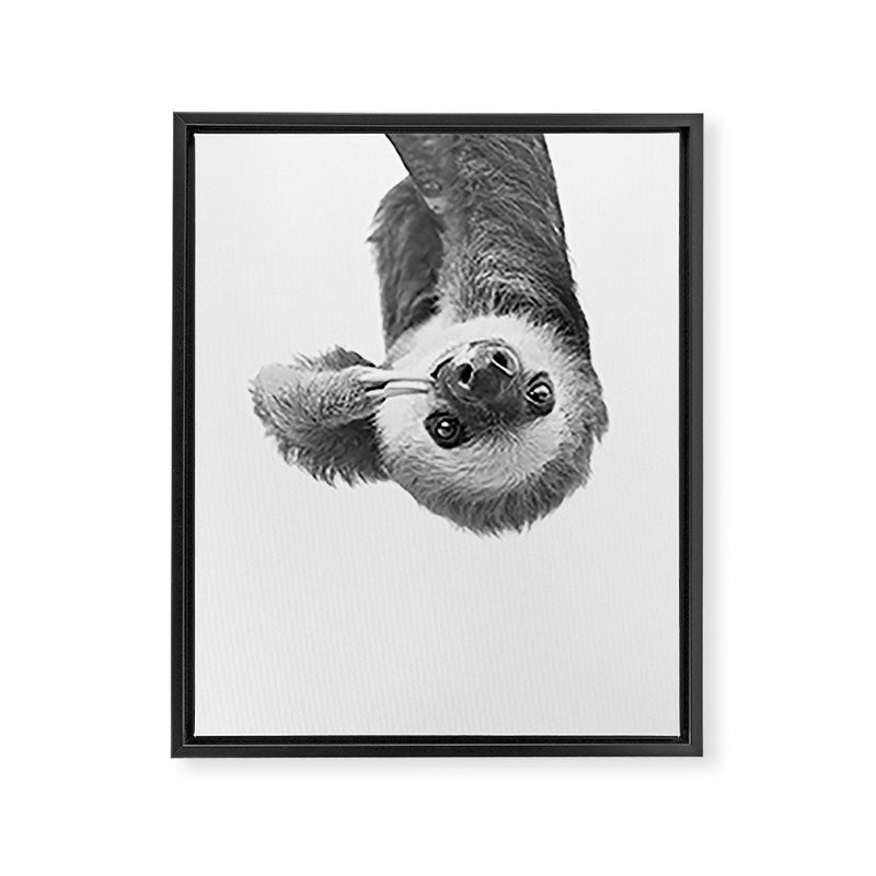 Sloth Framed Canvas Print Gallery Image 1