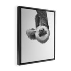 Sloth Framed Canvas Print Gallery Image 2