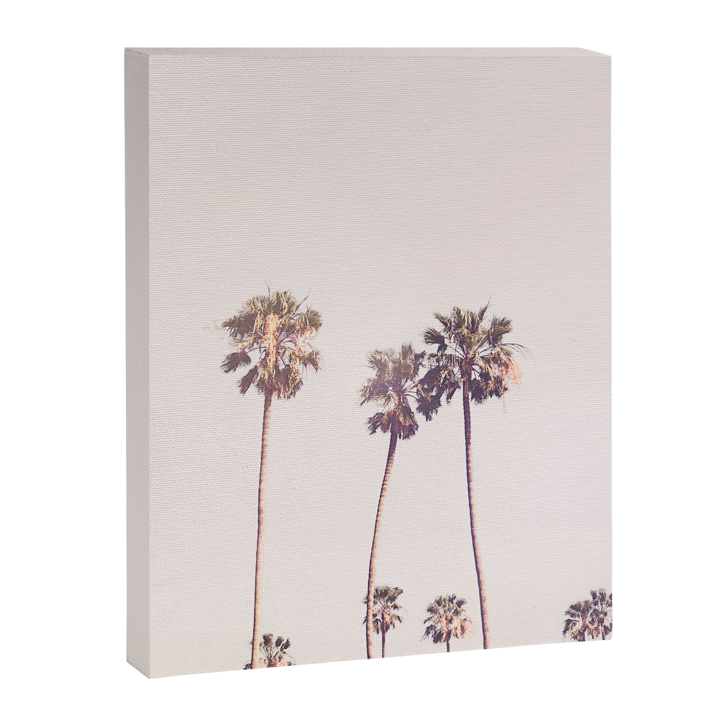 Sunny Cali Palm Trees Canvas Print Gallery Image 6