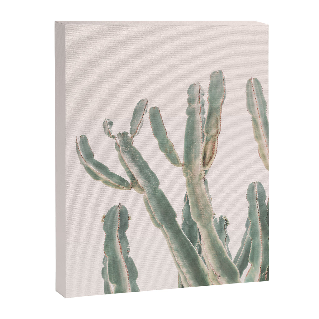 Sunrise Cactus Canvas Print Gallery Image 6