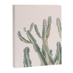 Sunrise Cactus Canvas Print Gallery Image 6