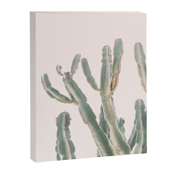 Sunrise Cactus Canvas Print Gallery Image 1