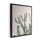 Sunrise Cactus Framed Canvas Print Gallery Image 2