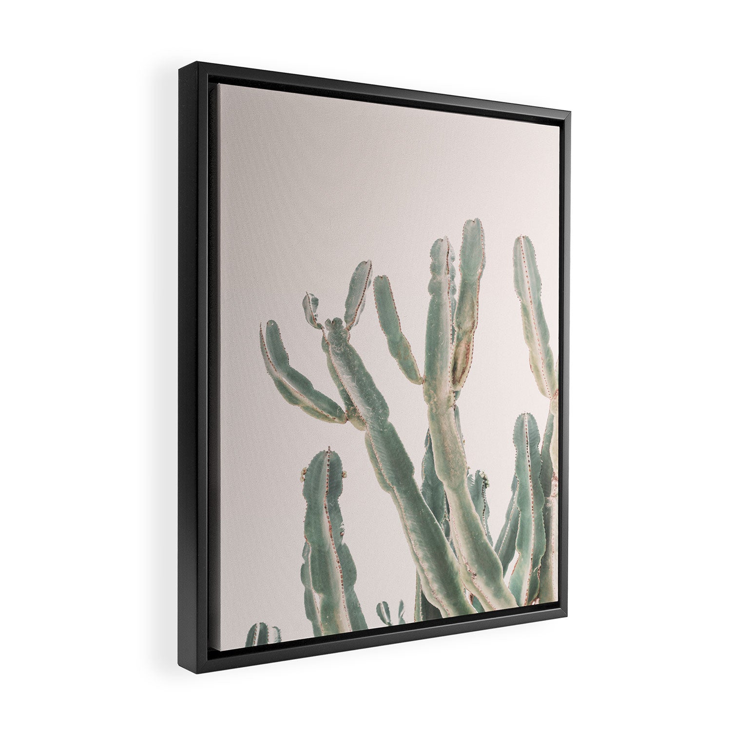 Sunrise Cactus Framed Canvas Print Gallery Image 2