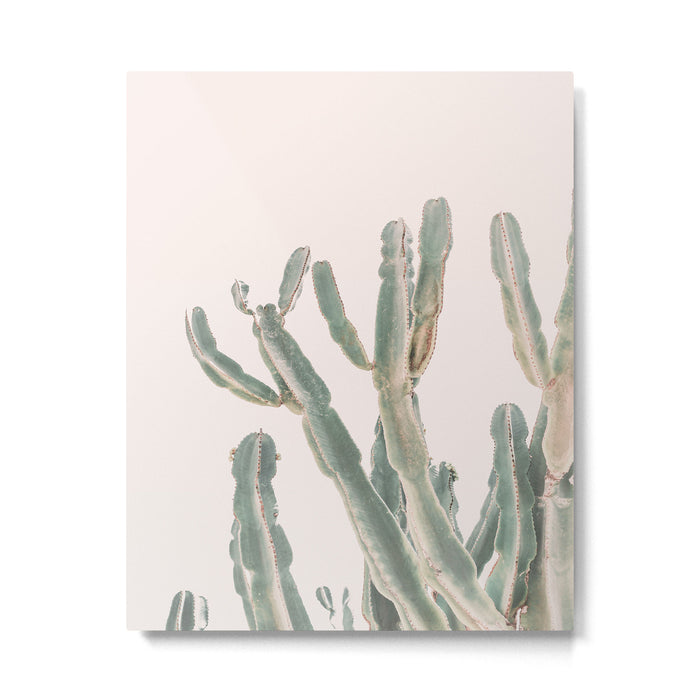 Sunrise Cactus Metal Print Gallery Image 1