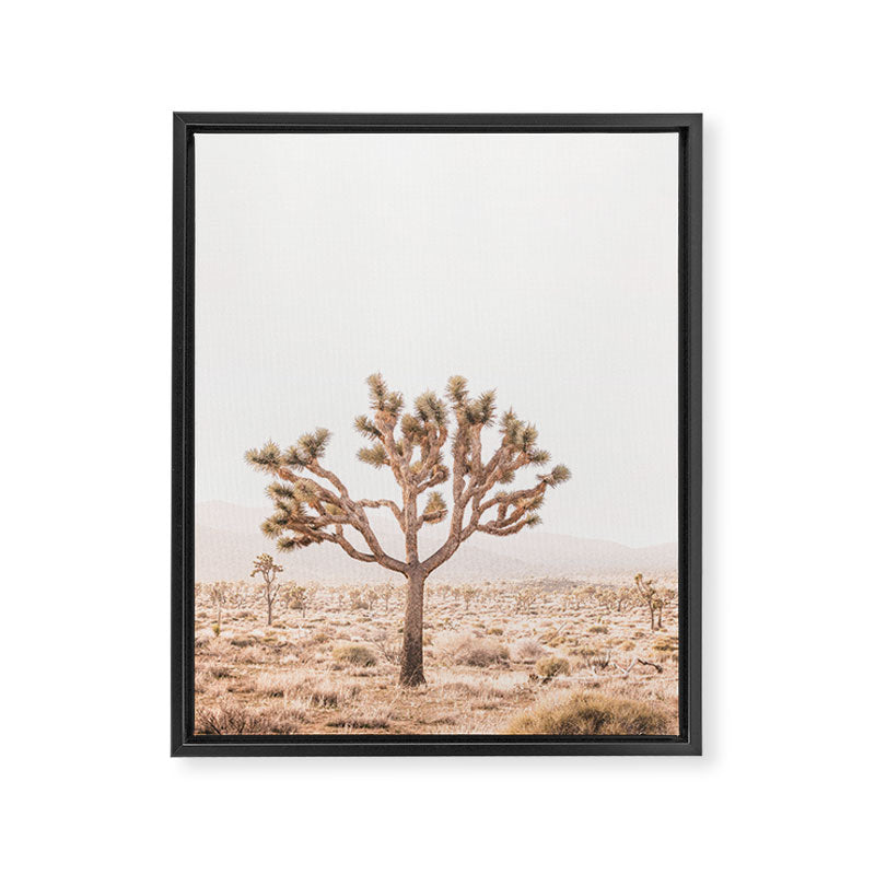 Yucca Framed Canvas Print Gallery Image 6