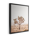 Yucca Framed Canvas Print Gallery Image 2