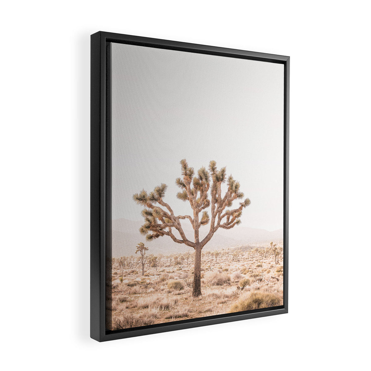 Yucca Framed Canvas Print Gallery Image 2