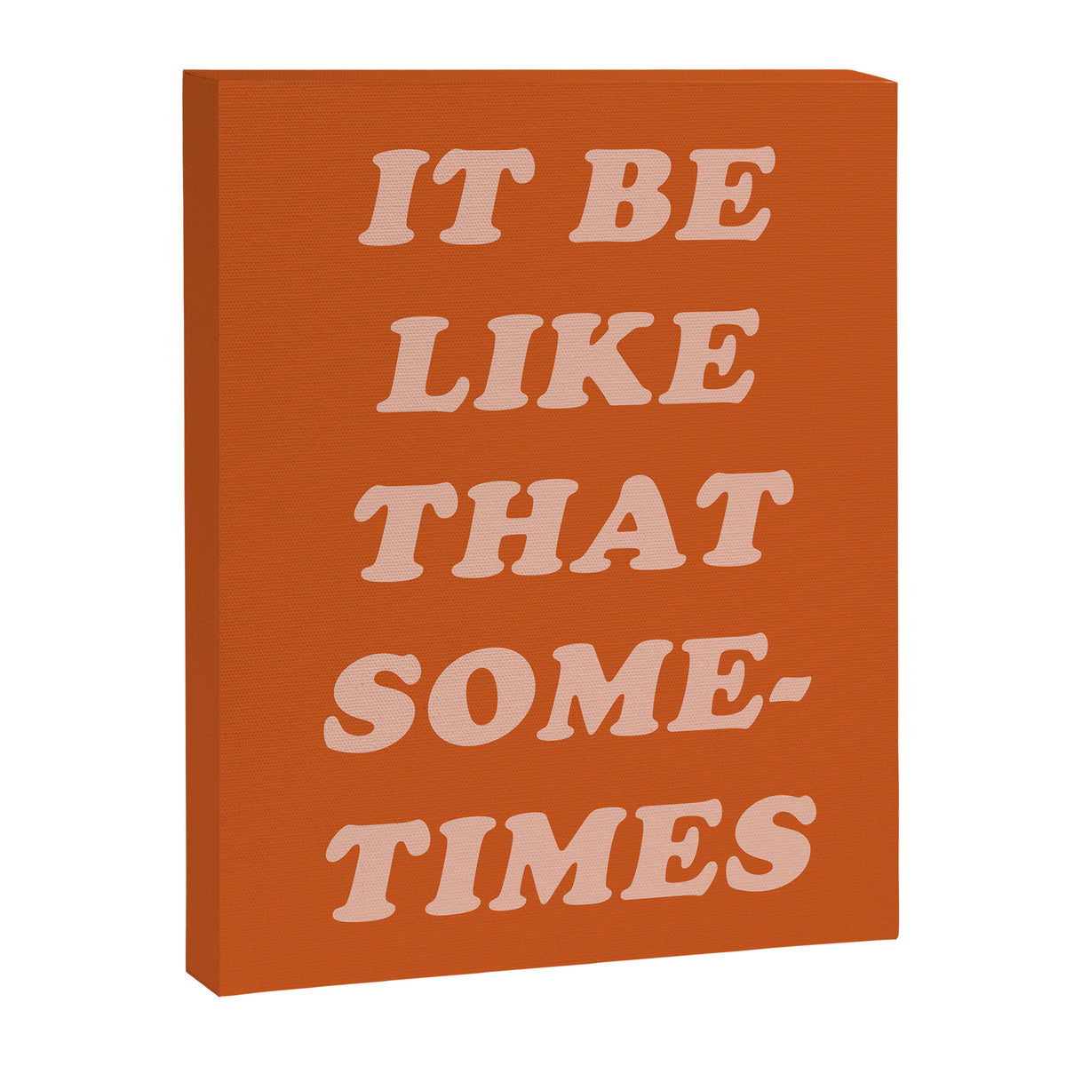It Be Like That Sometimes Canvas Print Gallery Image 8