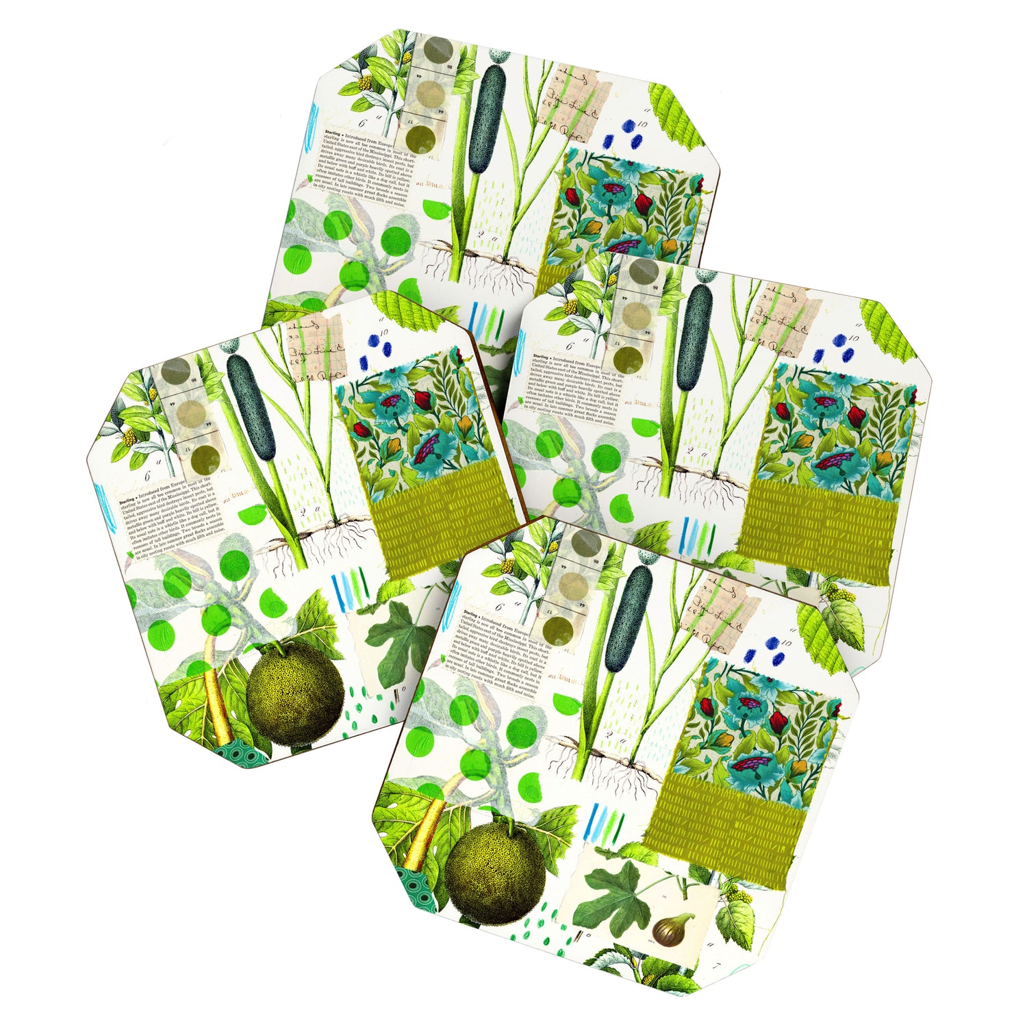 Green Botanical by Pam Smilow Coaster Gallery Image 1