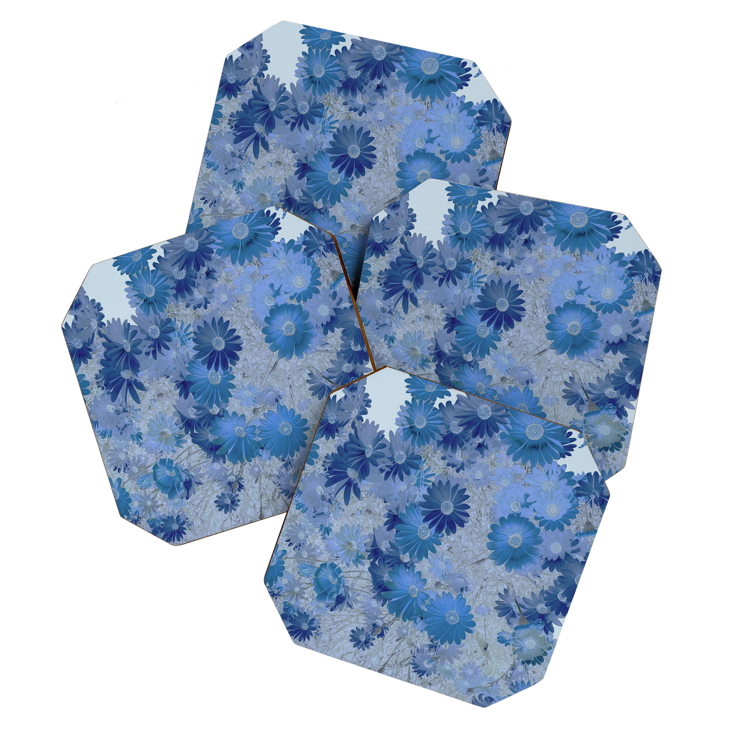 Blue Daisies Coaster Gallery Image 1