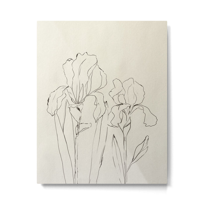 Iris Outline Metal Print Gallery Image 1