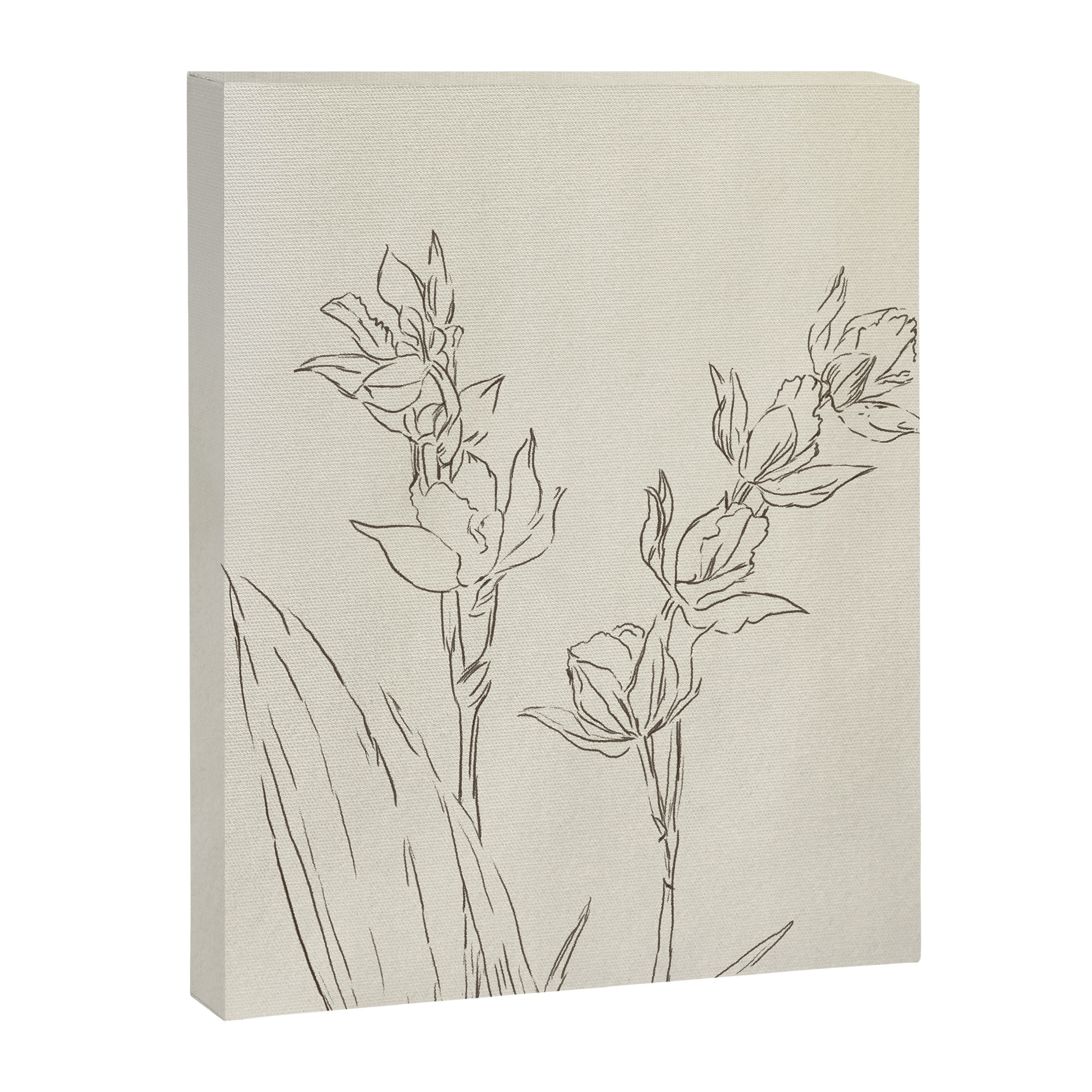 Orchid Outline Canvas Print Gallery Image 6