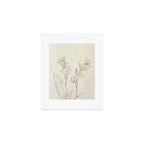 Orchid Outline Art Print Gallery Image 1