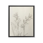 Orchid Outline Framed Canvas Print Gallery Image 6
