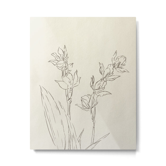 Orchid Outline Metal Print Gallery Image 1